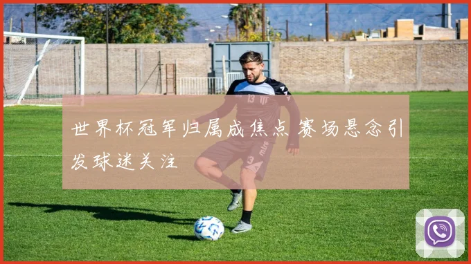 世界杯冠军归属成焦点 赛场悬念引发球迷关注