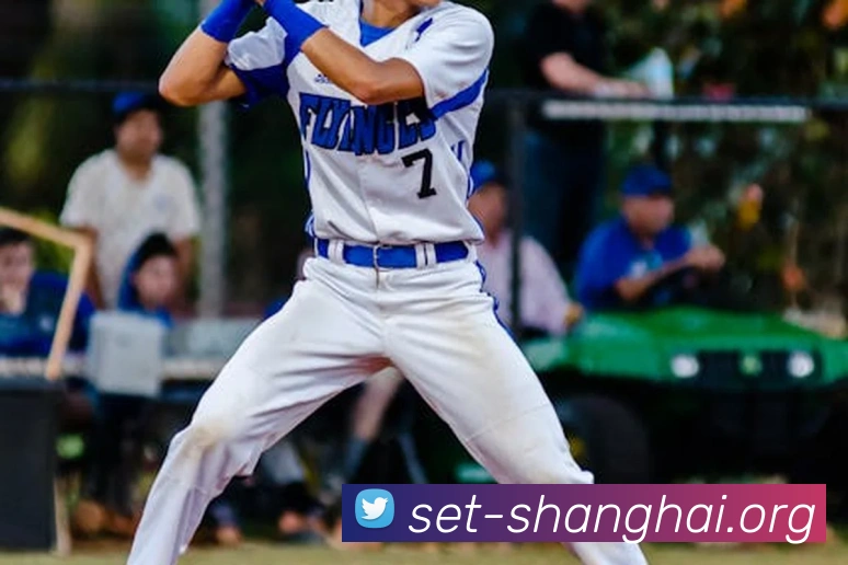 世界杯开户平台平台生态图